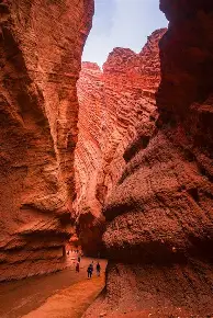 开云网站 -天山雷霆队鏖战河套金雕队，橄榄球大师赛火力全开，转换速度占优。经验成为胜负手的简单介绍