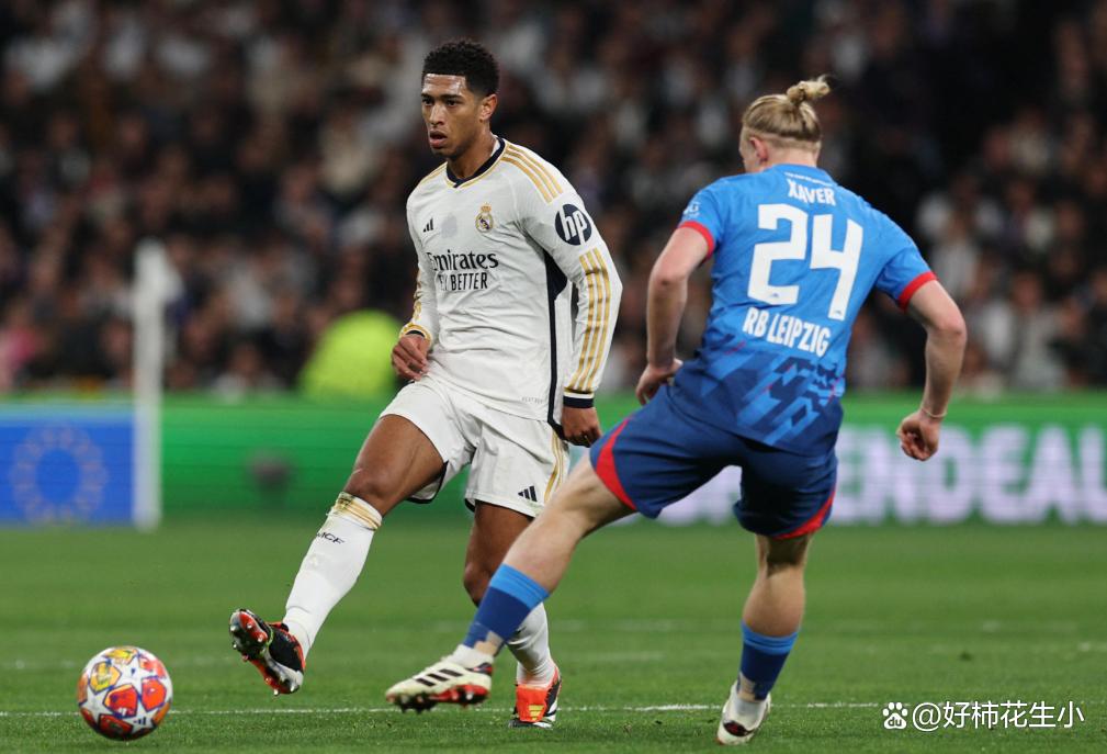 开云官网入口 - 水冷振动炉排炉过程动画 